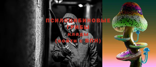 индика Белоозёрский