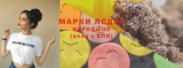 индика Белоозёрский