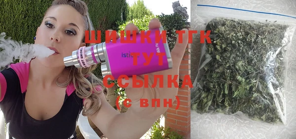 индика Белоозёрский