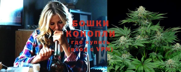 таблы Белокуриха