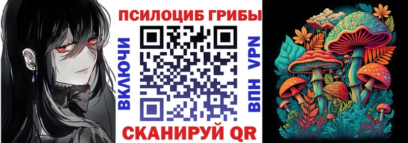 как найти   darknet клад  Псилоцибиновые грибы Cubensis  Волоколамск 
